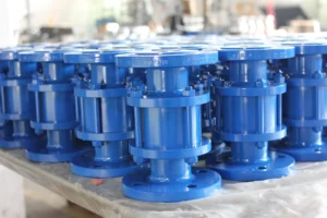 Check valve 3 Check valve