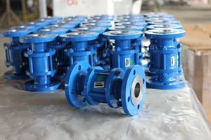 Check valve 4 Check valve