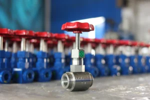 Needle valve 5 Needle valve